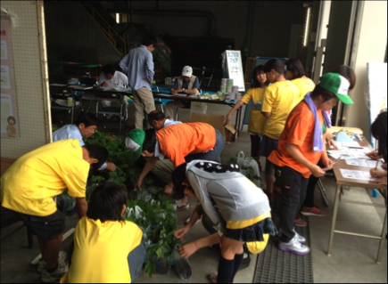 ゴーヤの苗の無料配布 エコリスフェア